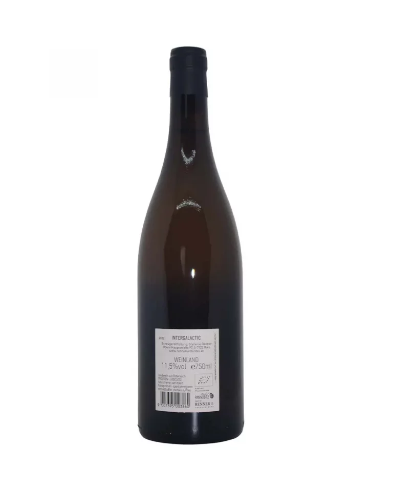 INTERGALACTIC 2022 hinten - rennersistas