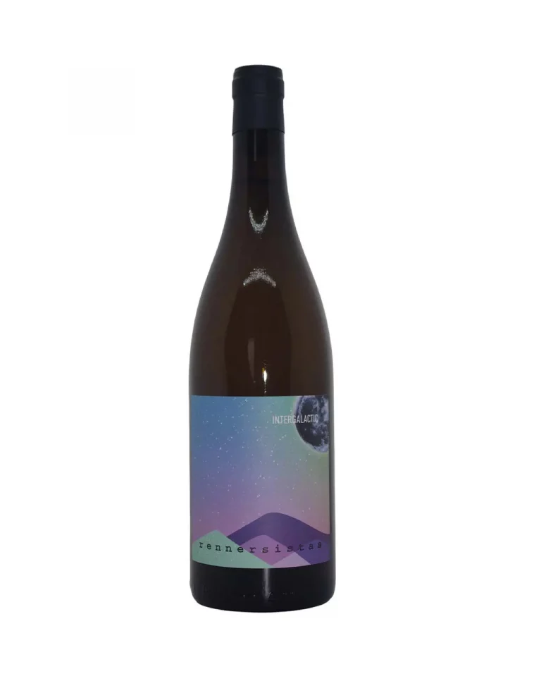 INTERGALACTIC 2022 vorne - rennersistas